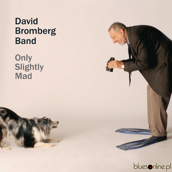 David Bromberg Band - Only Slightly Mad